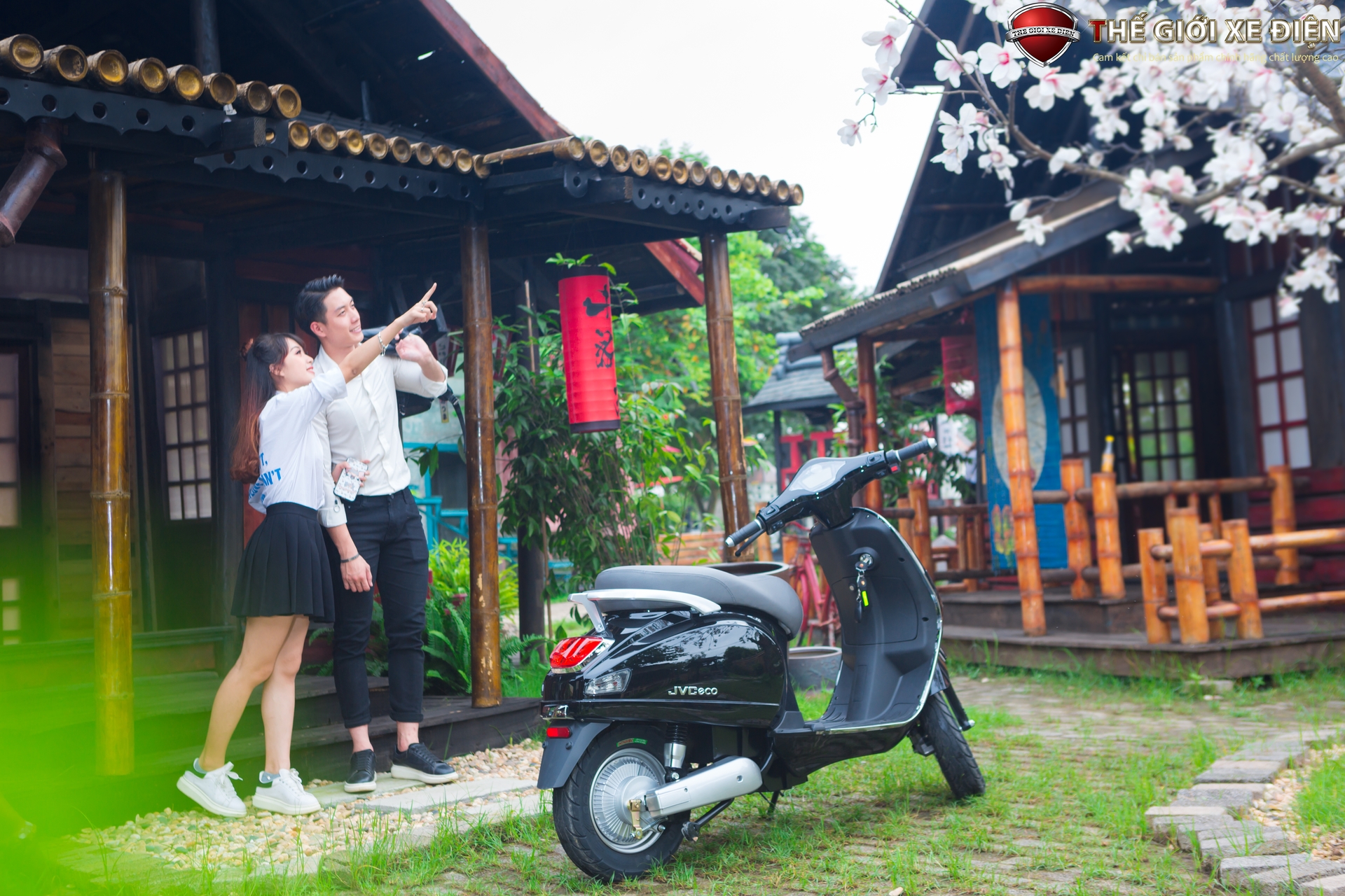 đuôi xe thời thượng cao cấp