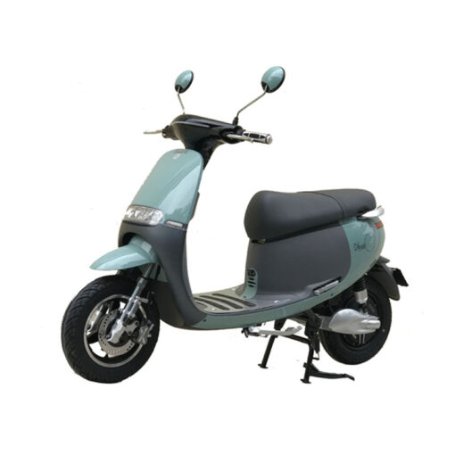 Xe Máy Điện Dibao Gogo S4-11