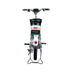 Xe Đạp Điện Pega Zinger+-4